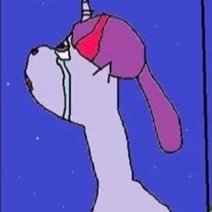 Meet your Posher, Ava